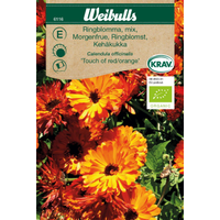 Weibulls Ringblomma   - calendua officinalis Krav 6116 Touch of red/orange