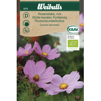 Weibulls Vallmo, orient  - papaver orientale l 7025