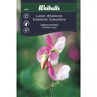 Weibulls Luktärt - lathyrus odoratus Painted Lady, 6601 Nyhet Weibulls Luktärt - lathyrus odoratus Painted Lady, 6601 Nyhet