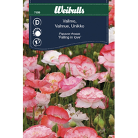 Weibulls Vallmo - papaver rhoeas Falling in Love 7056. Nyhet