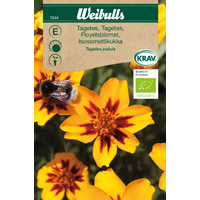 Weibulls Tagetes Hög 7244, KRAV, Nyhet