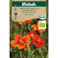Weibulls Tagetes Hög 7352, KRAV, Nyhet Weibulls Tagetes Hög 7352, KRAV, Nyhet