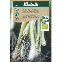 Weibulls Lök, Vårlök Long Whiote Ishikura - allium fistulosum 7802KRAV