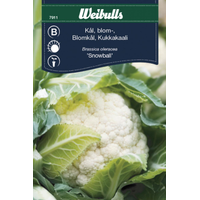 Weibulls Kål, blomkål  - brassica oleracea 7911, Nyhet