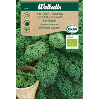 Weibulls Grönkål, halvhög - Brassica oleracera - Westland autumn  7936  KRAV,Nyhet