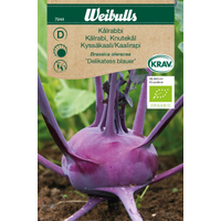 Weibulls Kålrabbi  - brassica oleracera 7944, KRAV Nyhet