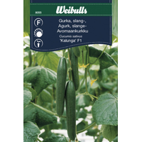 Weibulls Gurka, Kalunga F1, växthus - cucumis satvius 8055