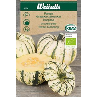 Weibulls Pumpa - cucurbita pepo 8074 KRAV