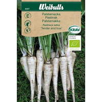 Weibulls Palsternacka - pastinaca sativa 8397 KRAV