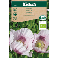 Weibulls Vallmo - papaver somniferum Unikko 7065. Nyhet 2023 Weibulls Vallmo - papaver somniferum Unikko 7065. Nyhet 2023