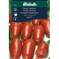 Weibulls Tomat Agro F1 8612, Nyhet 2023, San Marzanotyp Weibulls Tomat Agro F1 8612, Nyhet 2023, San Marzanotyp