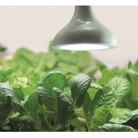 Nelson Garden Ledlampa 18W till växtbelysning med lampsladd 4m 5575-5602, nyhet