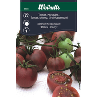 Weibulls Tomat, körsbärs- - solanum lycopersicum 8588