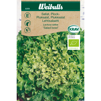 Weibulls Plocksallat Salad bowl KRAV 8309 - lactuca sativa, Nyhet 2021