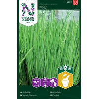 Nelson Garden Gräslök - 'biggy' - allium schoenoprasum 90317