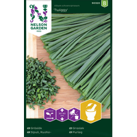 Nelson Garden Gräslök - 'twiggy' - allium schoenoprasum 90320
