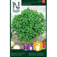 Nelson Garden Småbladig basilika - 'balkon star' - ocimum basilicum l. ssp. minimum 90092