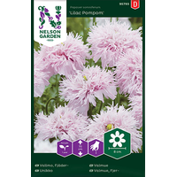 Nelson Garden/ Weibulls  Vallmo, fjäder--'lilac pompom' -  papaver somniferum N95793- W 7064