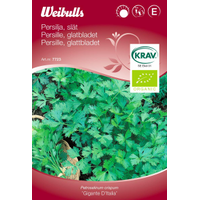 Persilja, slät krav  - petroselinum crispum
