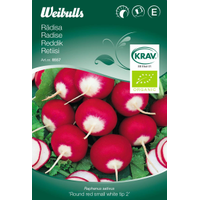 Weibulls Rädisa Round Red Small White Tip 2,  krav - raphanus sativus 8558