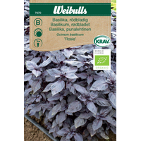 Weibulls Basilika OPAL Rödbladig KRAV  - ocimum basilicum 7670