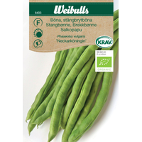 Weibulls  böna, stångbrytböna  - phaseolus vulgaris