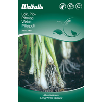 Weibulls Lök, piplök/salladslök - allium fistulosum