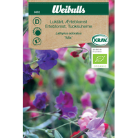 Weibulls Luktärt mix - lathyrus odoratus 6602 KRAV