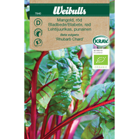 Weibulls Mangold, röd  Rhubarb Chard - beta vulgaris 7839 KRAV