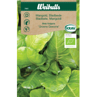 Weibulls Mangold vit - beta vulgaris 7841