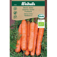 Weibulls Morot Berlikum 2 krav  - daucus carota 8166