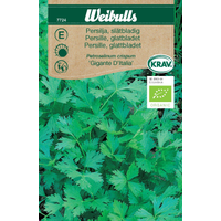 Weibulls Persilja slät - petroselinum crispum 7724 KRAV