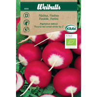 Weibulls Rädisa  krav - raphanus sativus 8558