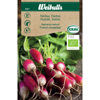 Weibulls Rädisa French breakfast  - raphanus sativus 8561 KRAV