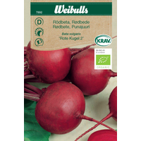 Weibulls Rödbeta krav - beta vulgaris