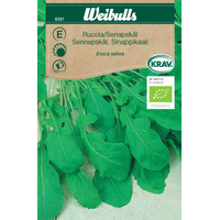 Weibulls Rucola/senapskål, krav - eruca sativa