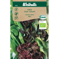 Weibulls Sallat mix krav - lactuca sativa