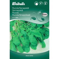 Rucola/Senapskål, KRAV - Eruca sativa - 