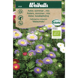 Weibulls Sommaraster mix - callistephus chinensis 6128 KRAV