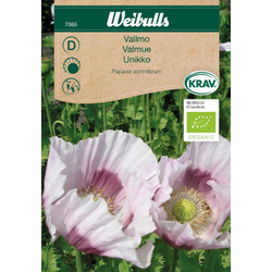 Weibulls Vallmo - papaver somniferum Unikko 7065. Nyhet 2023