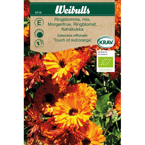 Weibulls Weibulls Ringblomma   - calendua officinalis Krav 6116 Touch of red/orange