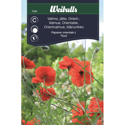 Weibulls Weibulls Vallmo, orient  - papaver orientale l 7025
