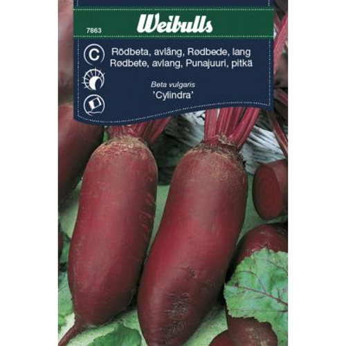 Weibulls Weibulls Rödbeta, avlång - beta vulgaris Cylindra 7863, Nyhet