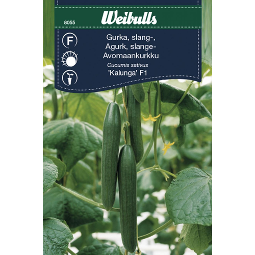 Weibulls Weibulls Gurka, Kalunga F1, växthus - cucumis satvius 8055