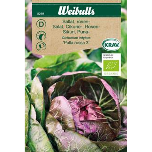 Weibulls Weibulls Rosensallat - 'palla rossa 5' - cichorium intybus 8249 KRAV