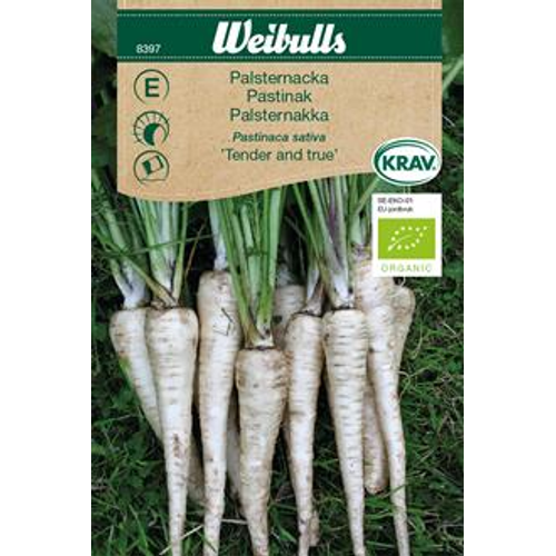Weibulls Weibulls Palsternacka - pastinaca sativa 8397 KRAV