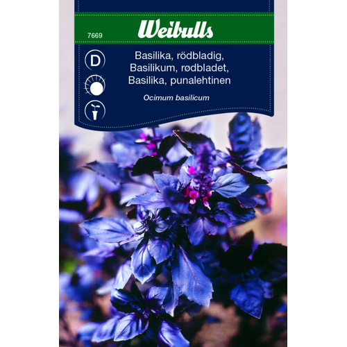 Weibulls Weibulls Basilika, rödbladig - ocimum basilicum 7669