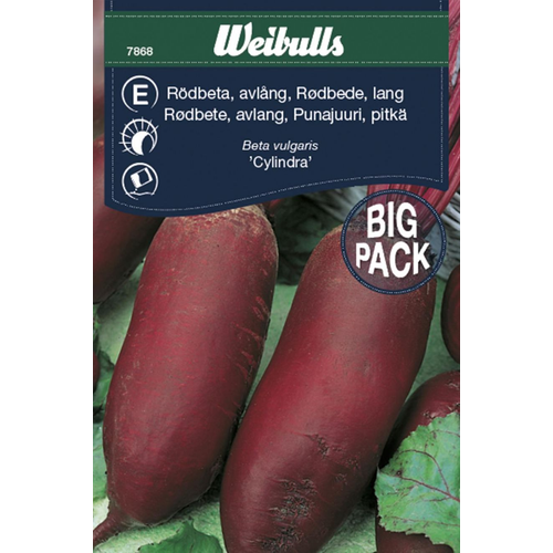 Weibulls Weibulls Rödbeta, Cylindra avlång - beta vulgaris 7868 Storpack  Nyhet 2022