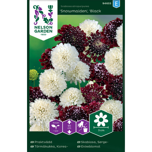 Nelson Garden Fröer Nelson Garden Praktvädd - 'snowmaiden', 'black knight' - scabiosa atropurpurea