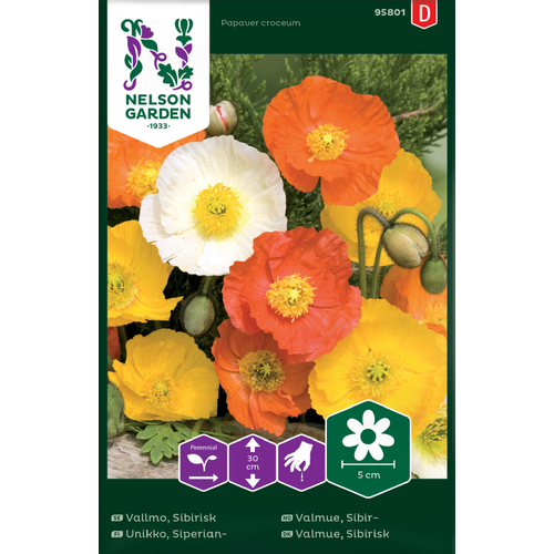 Nelson Garden Fröer Nelson Garden Sibirisk vallmo -  - papaver croceum 95801